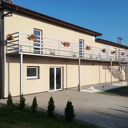 Ararauna Kamienica  Exteriör bild